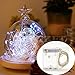 SINOLLC 10ft 30 LEDs Super Bright Cool White Durable Silver Wire String Lights 3xAA Battery Powered Flexible String Lights 3M For Decorative/Holiday Project