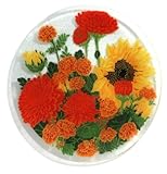 Peggy Karr Glass Autumn Garden 11-Inch Round Glass Plate