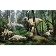 Brewster Nat Geo Kids NG94615 Pre-pasted Wall Mural Dinosaurs, 72-Inch Width x 45-Inch Height