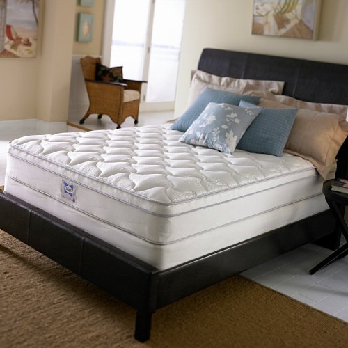 Sealy Maxedon Plush Eurotop - White