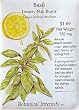 Basil Mrs. Burns Lemon Heirloom Seeds 400 Seeds
