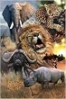 The Big Five - Nature Poster (Lion, African Elephant, Cape Buffalo, Leopard & Black Rhinoceros) (Size: 24" x 36")