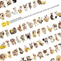 The Cat All Star 2008 Square Wall Calendar (German, French, Spanish and English Edition)