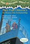 Magic Tree House, Books 17-20