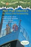 Magic Tree House Volumes 17-20 Boxed Set: The Mystery of the Enchanted Dog
