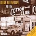 At the Cotton Club