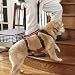 Hip Assist Harness / Medium, Medium
