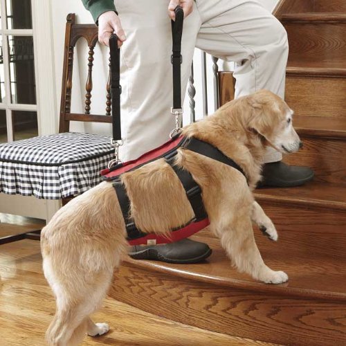 dog assist harness