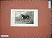 Animals Viper Dog Pet Country Grass Mountains Print