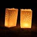10-Pack Glo-Wax Luminary Bags (Style D) with FREE 10hr Tea lights