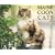 Maine Coon Cats 2010 Calendar