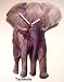 African Elephant Wall Clock - WW3