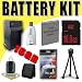 KLIC-7004 Lithium Ion Replacement Battery/Charger for Kodak ZI8 Fuji F60FD F70EXR F200EXR F300EXR Digital Camera DavisMAX 16GB Memory Bundle
