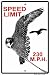 Speed Limit 230 MPH Peregrine Falcon