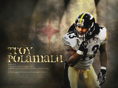 Troy Polamalu Poster Photo Limited Print Pittsburgh Steelers NFL Football Player Sexy Celebrity Athlete Size 11x17 #3