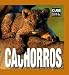Cachorros/ Baby Animals