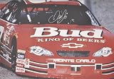 Dale Earnhardt Jr. Autographed Canvas