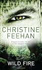 Wild Fire: Number 4 in series (Leopard People)