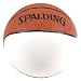 Spalding NBA Mini Autograph Basketball
