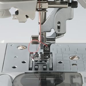 IBJSC.com