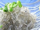 静岡遠州灘産　生しらす200g 【創業86年　まぐろの焼津屋】