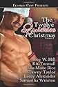 The Twelve Quickies of Christmas, Volume 2