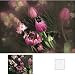 Cokin A071 Filter, A, C.spot Wa Incolor 2