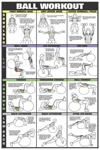 Co-ed Swiss Ball Workout II 24" X 36" Laminated Chart - Shoulder, Leg, Abs, Low Back Reviews