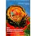 Den Drachen �berwinden. Vorschl�ge zur Traumaheilung. Ein Arbeitsbuch f�r Betroffene und f�r Therapeuten