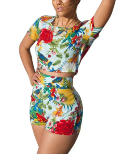 New Women's Floral Print Romper 2 Pieces Jumpsuit Crop Top+pant with Waistband