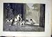 1885 Disgrace Puppy Berkley Fine Art Animal Old Print