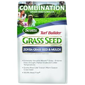 zoysia grass seed