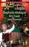 Shepherds Abiding in Dry Creek (Dry Creek Series #11) (Larger Print Love Inspired #421)