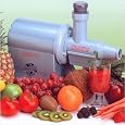 Champion Juicer G5-NG853S - Silver Household Juicer in Silver