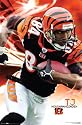 Cincinnati Bengals (TJ Houshmandzadeh) Sports Poster Print - 24" X 36"