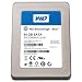 Western Digital 64 GB SiliconEdge Blue SATA Solid State Drive SSC-D0064SC-2100