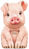Little Pig (Look at Me Books)