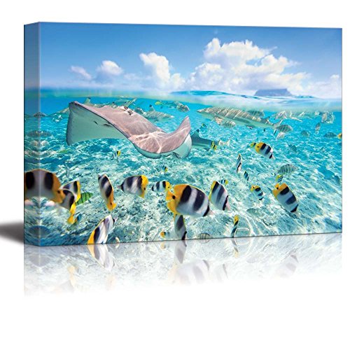 wall26 Canvas Print Wall Art Stingray & Striped Fish Under The Sea Nature Ocean Photography Realism Nautical Scenic Relax/Calm Multicolor Ultra for Living Room, Bedroom, Office - 24"x36"