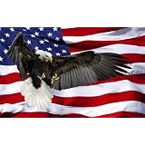 Bald Eagle American Flag - Easy Stick Vinyl Wall Art Decal
