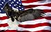 Bald Eagle American Flag - Easy Stick Vinyl Wall Art Decal