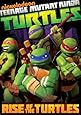 Teenage Mutant Ninja Turtles: Rise of the Turtles