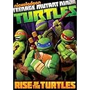 Teenage Mutant Ninja Turtles: Rise of the Turtles
