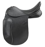ANKY Euro Dressage XCH AMS