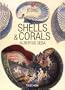 Shells & Corals (Icons) (Spanish Edition)