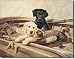 Kaatz - Almost Ready Metal Tin Sign 16"W x 12.5"H