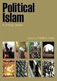 Political Islam : a critical reader