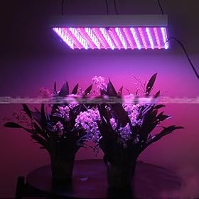12 Volt DC Hydroponic 225 LED Grow Light Panel Red Blue by 