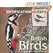 Birds (Identification Guides)
