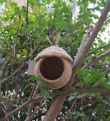 Burlap Jute Woven Bird Nest with 3-Inch Opening