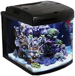JBJ 28 Gallon NanoCube Advanced Aquarium with LED Lighting
